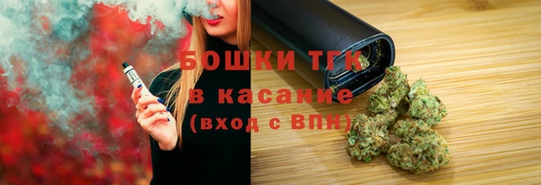прущие грибы Белокуриха