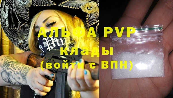 прущие грибы Белокуриха