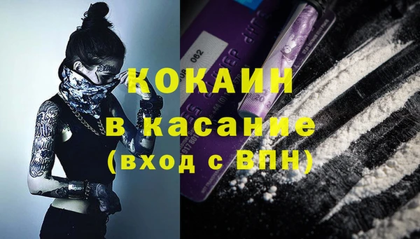 прущие грибы Белокуриха