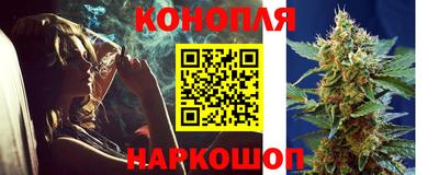 apvp Камышлов