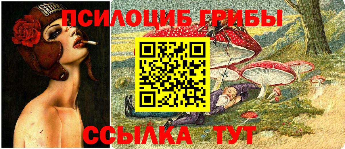 Кувандык  Псилоцибиновые грибы мухоморы  где купить наркотик  Вход с VPN 
